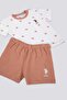 Base Polo Assn Deep Color Cream Baby T-shirt Set - 2