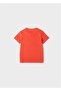 Baby Boy Crew Neck T-shirt - 3