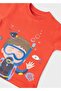 Baby Boy Crew Neck T-shirt - 4