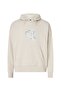 Hooded Collar Beige Men's Sweatshirt K10k111109ace