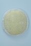 Natural Pumpkin Fiber Bath Scrub Set - for Body/Face/Back - Effective on Ingrown and Blackheads - 4
