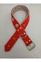 Fancy Hand Embroidered Dog Collar - 2