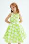 Bg Store Girl's Green Dress 23Pssl01993 - 2