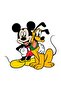 Zezex Disney Supersoft Shorts Set - 2