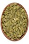 Iç Kabak Çekirdeği - 2