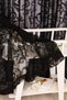 Shawl Pattern Black French Kdk Single Wing Close Pleat Tulle Background Curtain - 4