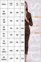 Women's Blazer Jacket Belted Pocketed Straight-Leg Trousers Set - 8