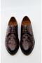 Men's Brown Lace-Up Classic Shoes 37211 41 - 4