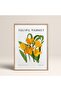 Framed Blossom Flowers Abstract Flowers Modern Art Painting