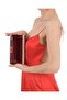 Gold Dore Gold Color Silvery Evening Bag Evening Bag Engagement Wedding Bag - 5