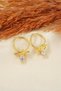 Women's Special Design Zircon Stone Dangle Earrings