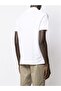 Men's Knitted Polo Shirt C.wCotton - 2