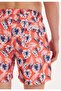 Orange Leaf Printed Regular Fit Men's Swim Shorts Wmbotanic - 3