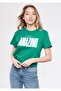 Istanbul Amazing Printed Green T-Shirt Regular Fit / Normal Cut 1601173-34120