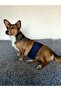 Men's Dog Pee Waistband Underpants Washable with Pad - 3