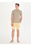 Polo T-shirt, Xs, Khaki - 4
