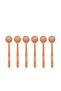 Lolli Tea Spoon 6 Pieces Category: Tea Spoon