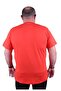 Big Size Men's Zero Collar T-Shirt Summer 23119 Pomegranate Flower - 2