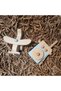 Wooden Montessori Baby Wireless + Baby Airplane Toy Set,waldorf Toy,gift Children's Toy +2 Years - 3