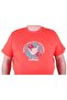 Big Size Men's Zero Collar T-Shirt Summer 23119 Pomegranate Flower - 3