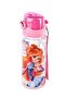 Plastic Flask 500 Ml