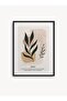 Single Framed Leaves of Hope Painting 30X40 cm 40X60 cm Black and White Wooden Frame Tk/013 - 2