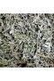 Sage 1000g - 2