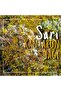 St. John's Wort Oil 40 ml (Soluble in Olive Oil with Polyphenols) - 4
