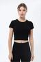 Women's Ribbed Short Sleeve Crop Tshirt