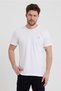 Men's Burgundy Beige Navy Blue White Black Regular Fit Crew Neck 100% Cotton T-Shirt Pack of 5 - 5