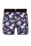 الملاكمين منقوشة حمامة - 2
