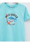 Boy - Crew Neck Printed Cotton Short Sleeve T-Shirt - 3