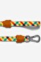 Phantom Walking Collar - 4