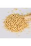 Original Miyuki Delica Beads 11 0 - 442 No, Db 1131 - 2 Gram Matte Yellow