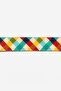 Phantom Walking Collar - 7