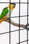 5 Pieces Natural Wooden Bird Perches for Parrot - Wooden Bird Parrot Stand - 6