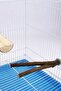 Set of 2 Natural Wooden Bird Perch Stand - 2
