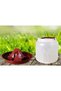 Food Bowl 2 Kg 1 Piece Chicken Bowl Chick Bowl Winged Food Bowl Quail Chopper Pheasant Goose Duck - 3