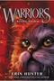 Warriors 4: Rising Storm