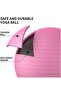 65 cm Pilates Ball and Bidirectional Pump Set Quality Material Yoga Exercise Ball - 3