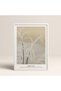 Framed Japanese Style Nanbara Sakujiro Painting 30X40Cm 40X60Cm 50X70Cm Black White Wood Jpn023