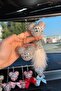 الباندا المزدوجة الفضية والحروف الفضية والريش الكريمي وزخرفة الرؤية الخلفية