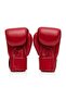 Bgv1 Boxing Gloves Muay Thai Gloves - 2