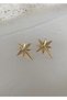 Gold North Star Earring - 4