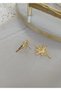 Gold North Star Earring - 2