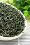 Green Tea 100 - Stylish and Comfortable - 2