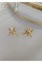 Gold North Star Earring - 3