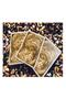 Bicycle Uspcc Oysters Branded Playing Card Cards Deck Collectable - 4