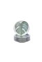 Nanoceram 6 Piece Cake Plate880166 - 2