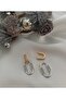 Steel Zircon Stone Trend Stylish Earrings - 2